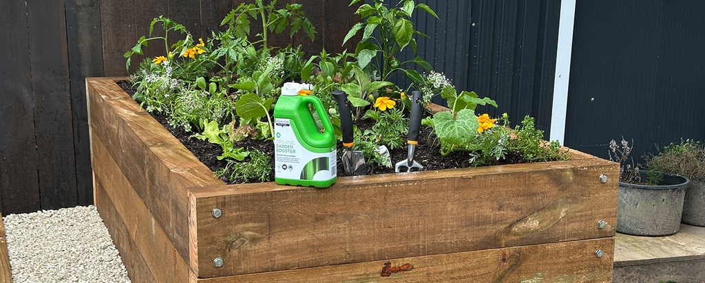 How to build a raised garden bed