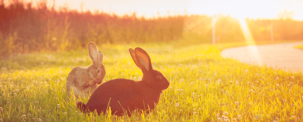 Easter Trading Hours