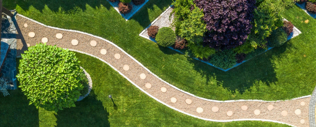 Top 10 Garden Tips for December