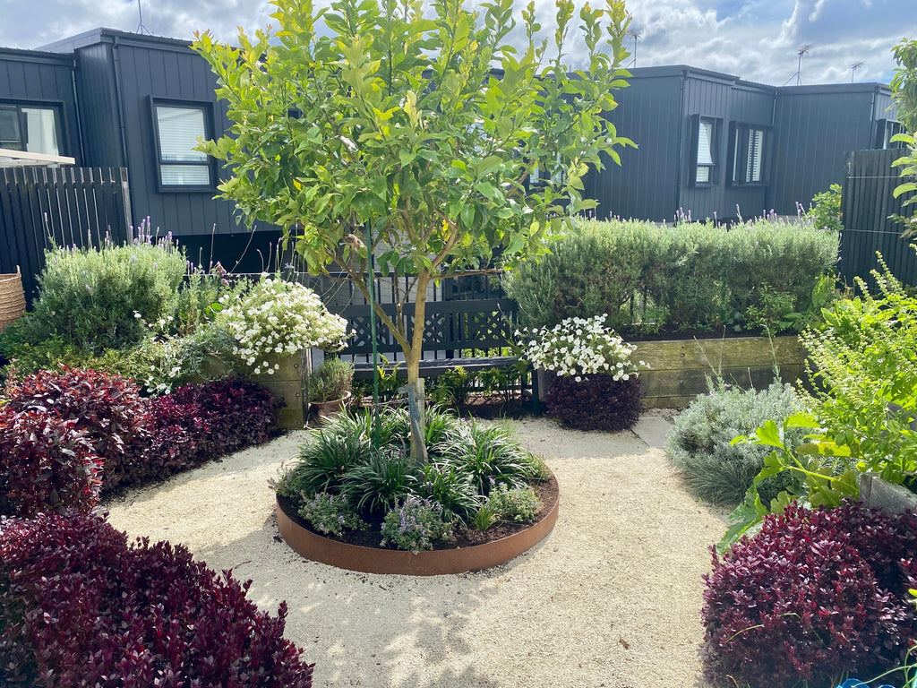 Decorative Pebbles with City Botanics: What Works, Where and Why