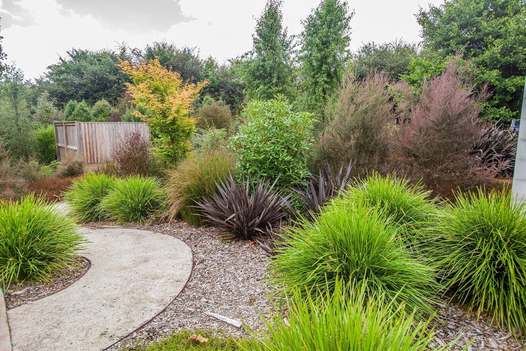 Outdoor Luxury with Groundcover Landscaping