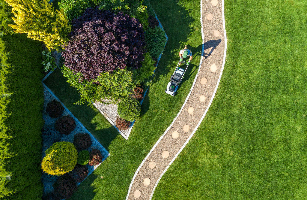 Become a backyard legend this summer!