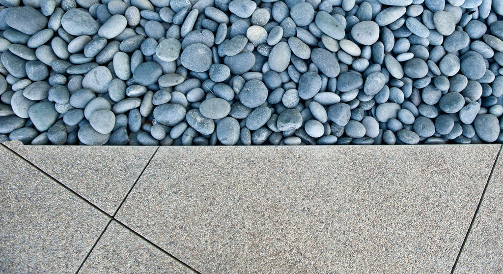 March Garden Guide & Landscaping Tips