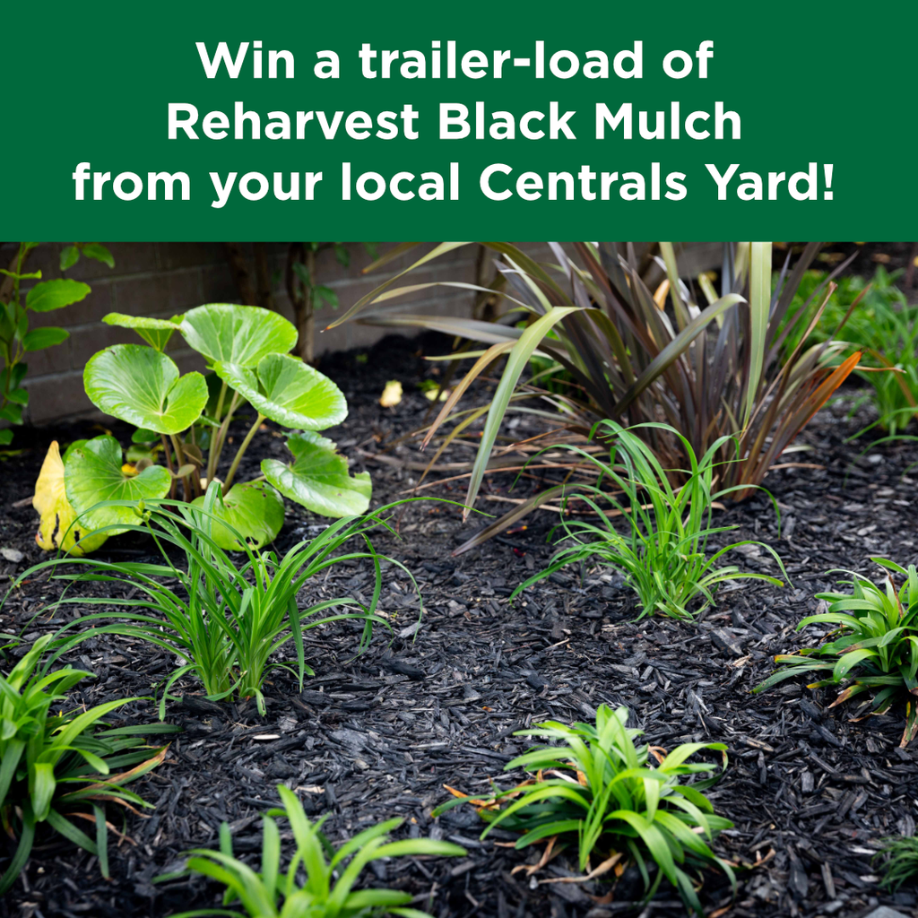 Win a trailer-load of our Black Mulch!