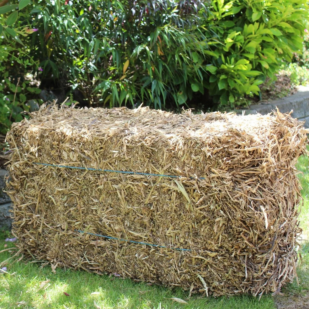Pea Straw Bale
