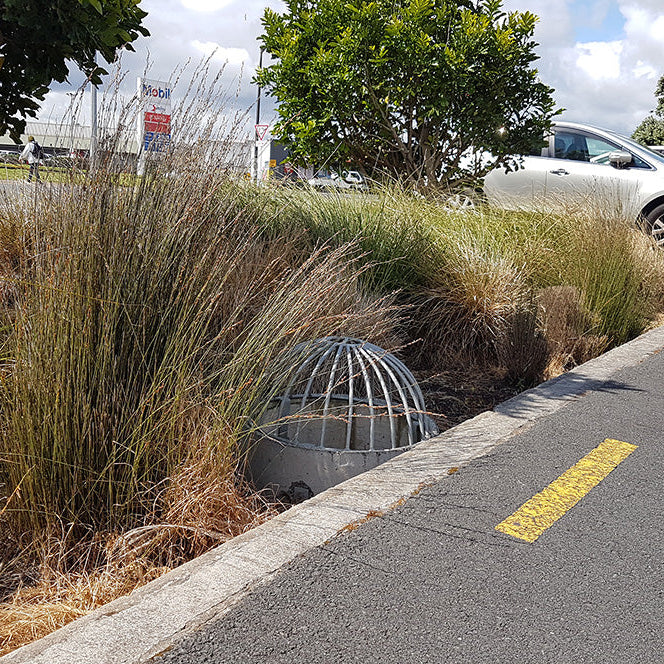 Rain Garden Mix RG240